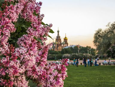 Экскурсия "Петербург с первого взгляда": фото