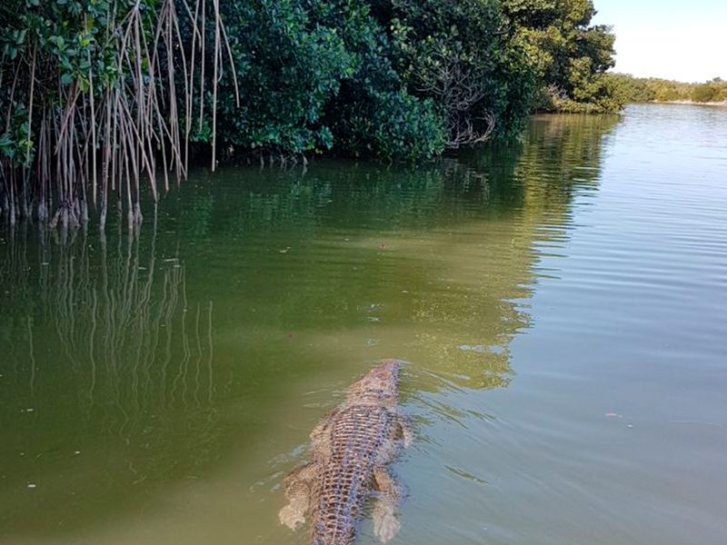 Вальядолид и розовые озёра (2/6)
