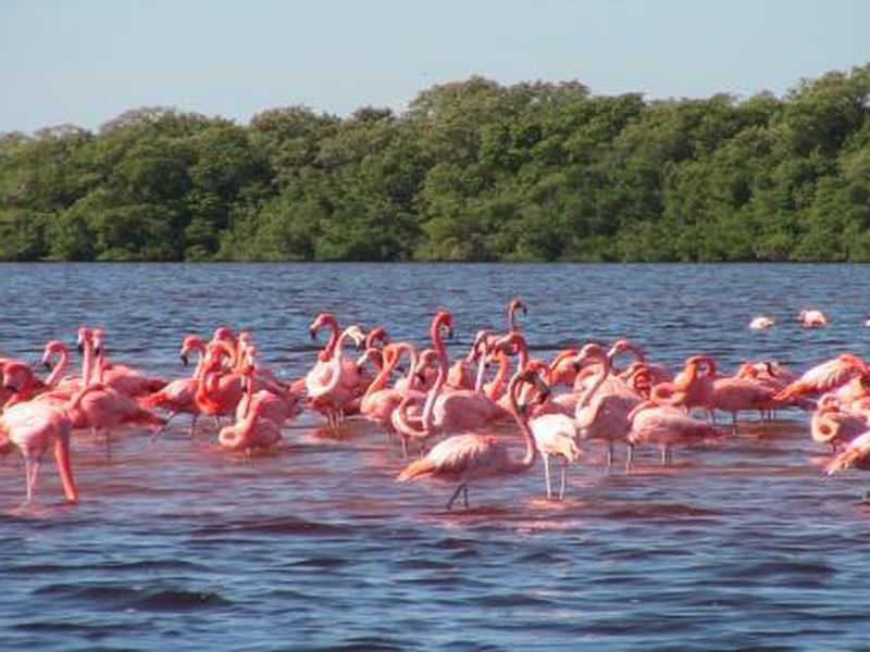 Вальядолид и розовые озёра (3/6)