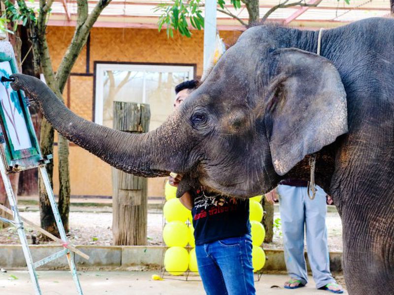 Экзотическое 2-дневное путешествие по реке Квай (28/34)
