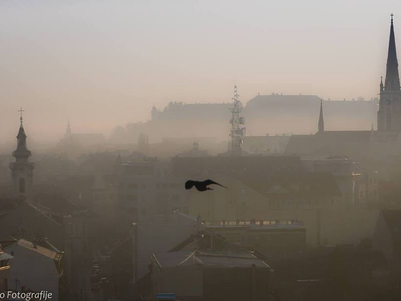 Обзорная экскурсия по Нови-Саду (2/16)