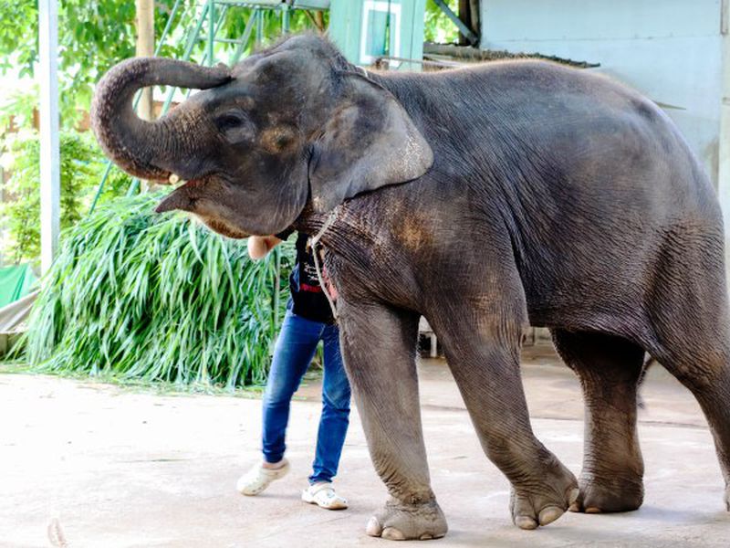 Экзотическое 2-дневное путешествие по реке Квай (32/37)