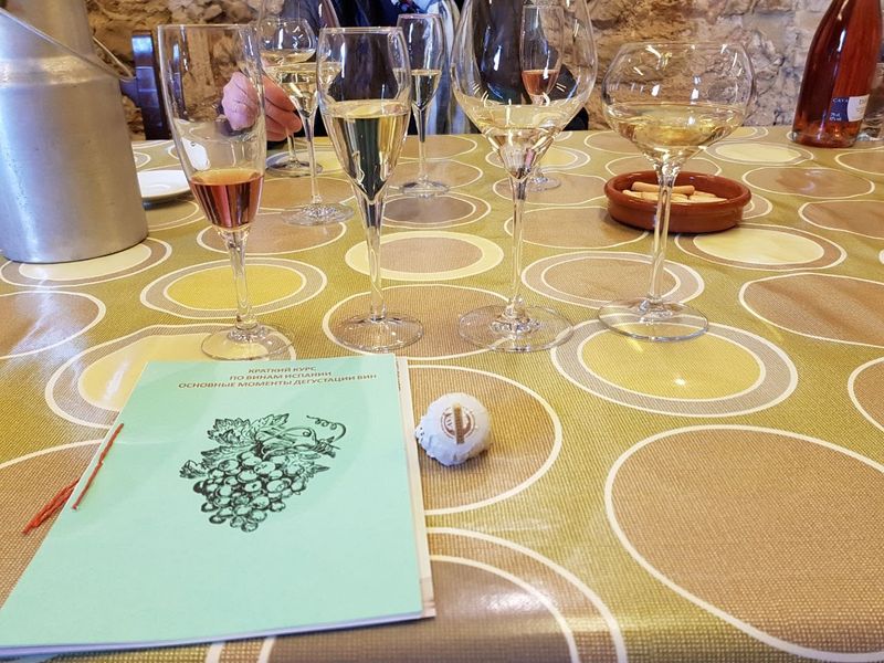 Экскурсия-квест «На поиски пиратских сокровищ!» (7/9)