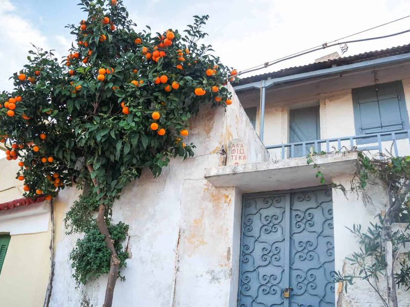 Настоящие Афины (5/15)