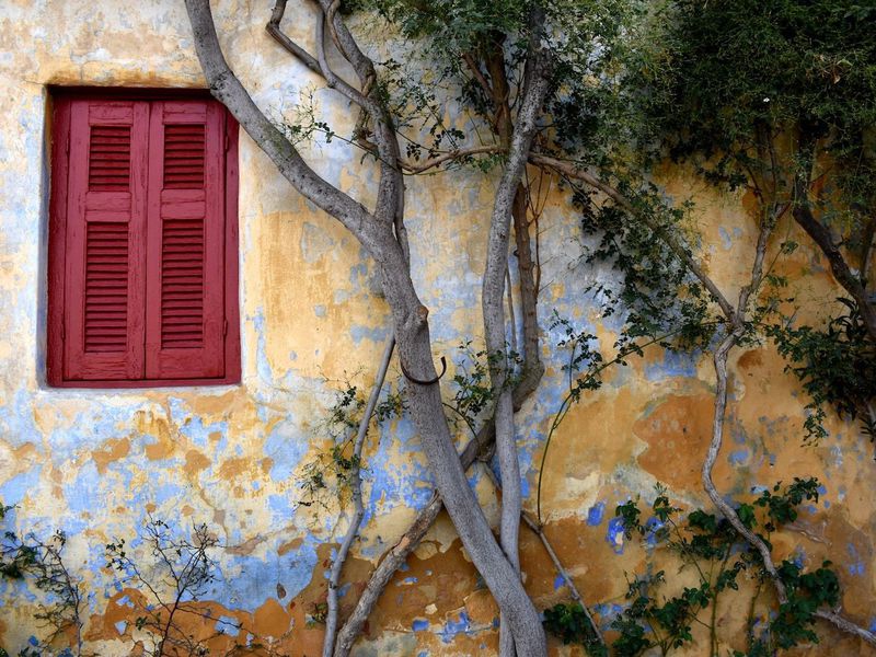 Настоящие Афины (11/15)