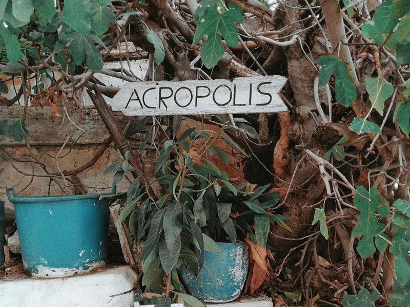 Настоящие Афины (6/15)