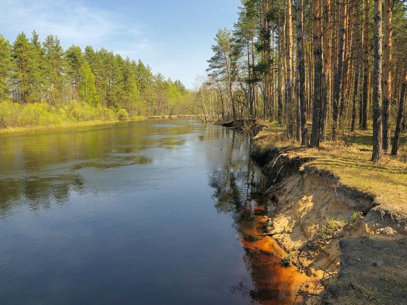 На байдарках по речке Пре (10/14)