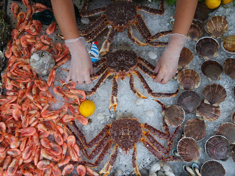 Петропавловск-Камчатский для первооткрывателей (4/11)