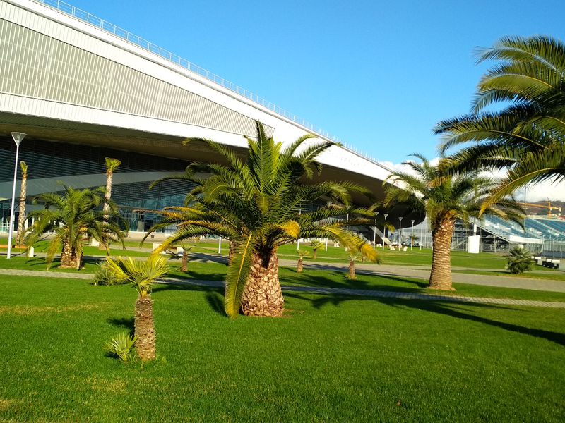 В Олимпийский парк на велосипеде (10/20)