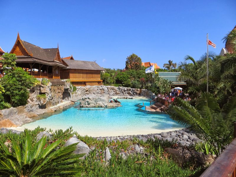 Из Тенерифе — в Сиам парк! (8/15)