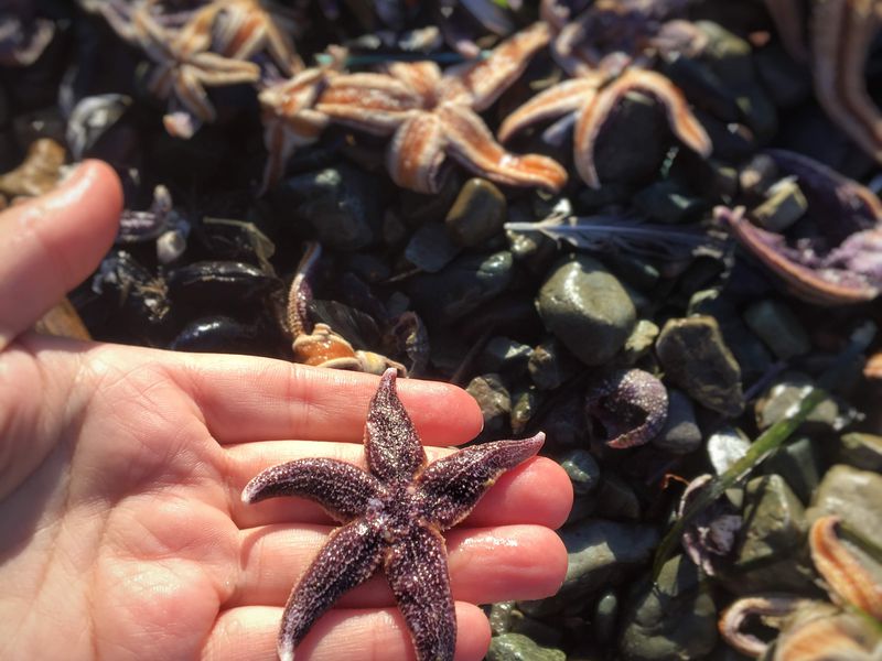 Петропавловск-Камчатский для первооткрывателей (6/11)