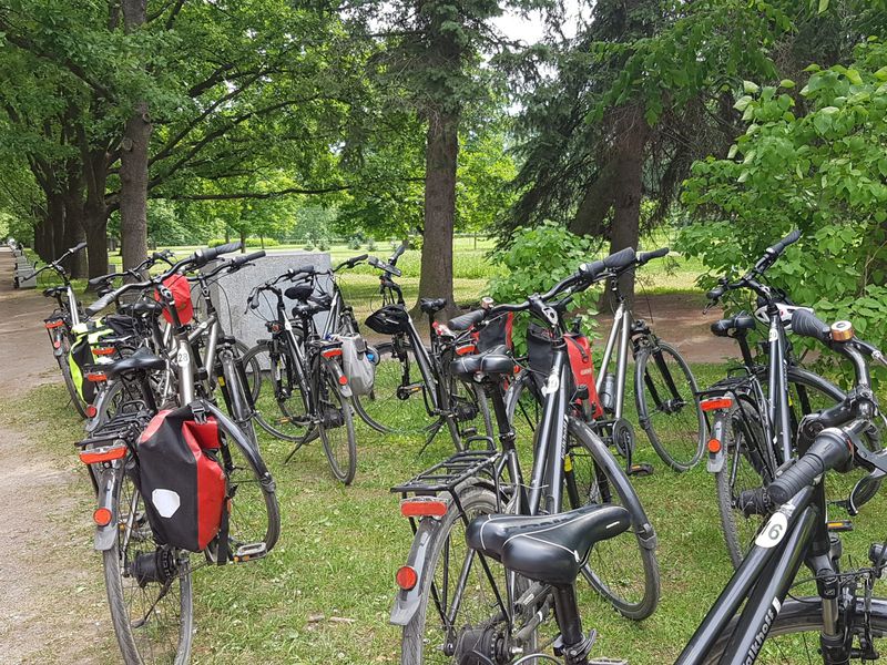 По Петергофу и Ораниенбауму — на велосипеде! (11/12)