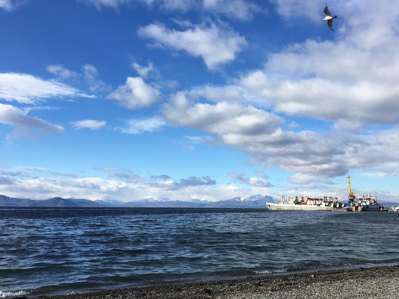 Петропавловск-Камчатский для первооткрывателей (9/11)