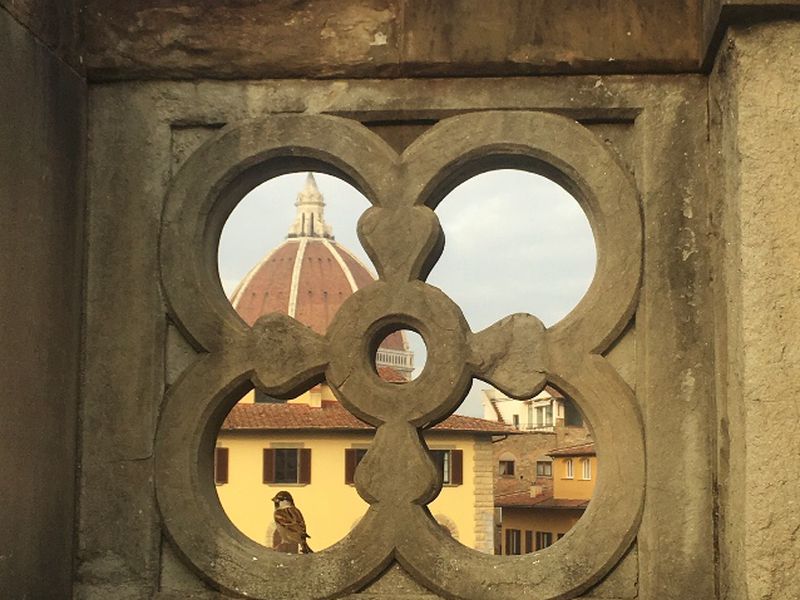 Неизведанная Флоренция (16/16)